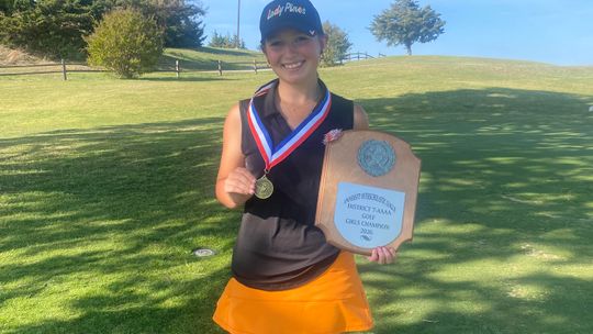 Crain wins district title