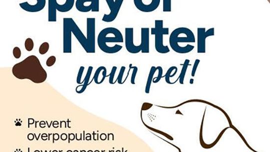 Fixing it for the future