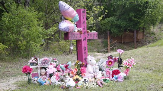 Horner pleads guilty to Athena Strand's murder