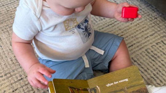 Lions Club keeps Dolly books going