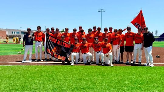 Porcupines earn area title