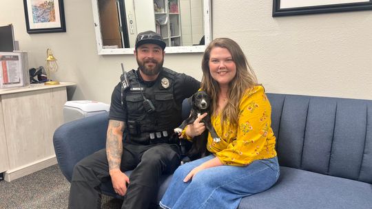 ‘Puppy Magic’ helps local shelter dogs find homes