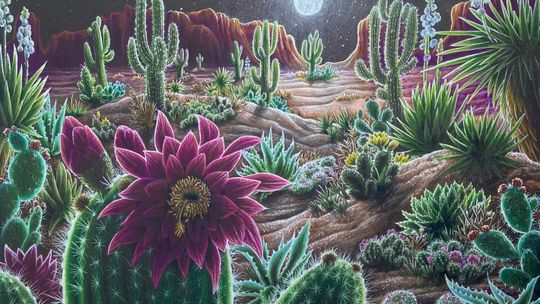 SHS student returns to VASE