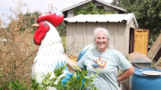 ‘Suburban princess’ becomes self-taught farmer