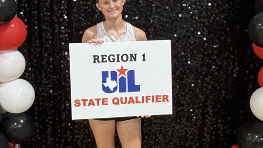 Walker, Derby qualify for state cross-country meet