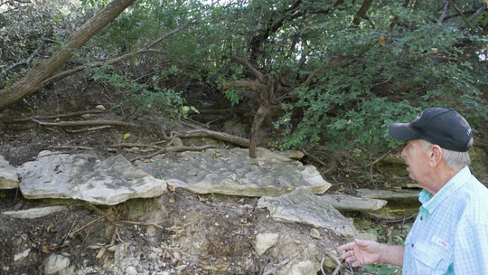 When dinosaurs ruled Springtown