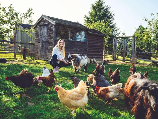 Ag program offers grants to help farmers, ranchers