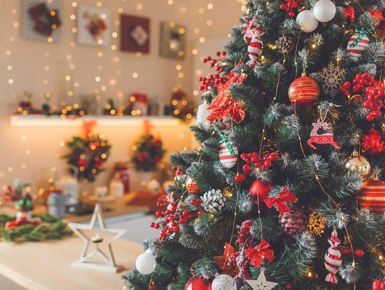 Blessing Tree returns for a third year