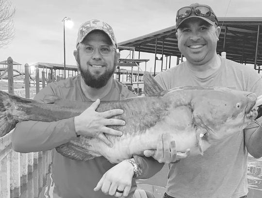 Blue catfish, Eagle Mountain Lake 53.07 lbs and 45”long