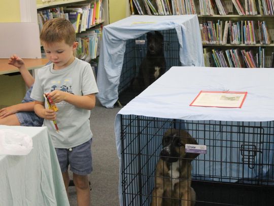 Checking out fur-ever friends