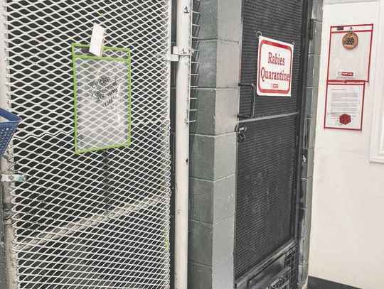 City seeks animal shelter expansion to improve animal care