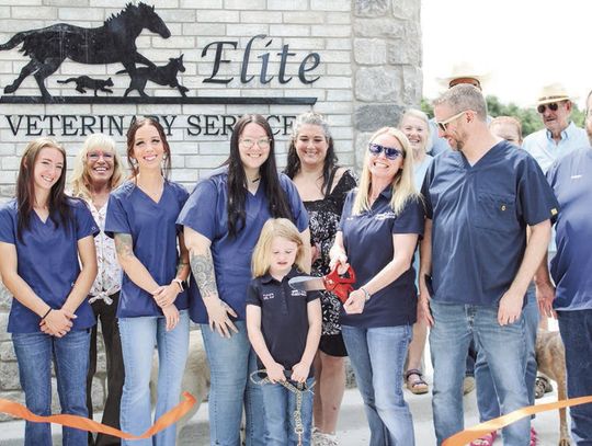 Elite Equine & Small Animal Clinic