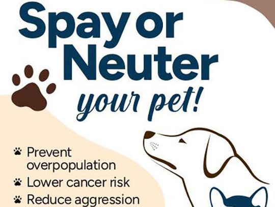 Fixing it for the future