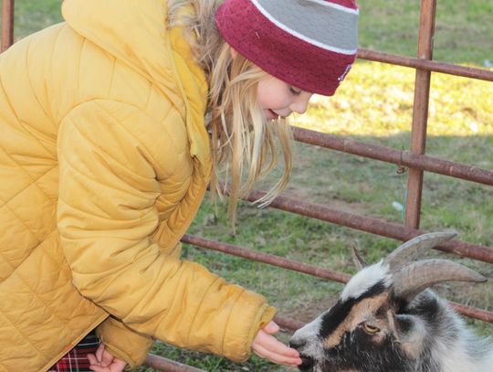 Joyful Ranch Counseling hosts Christmas fundraiser