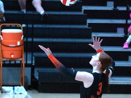 Lady Porcupines fall in five-set thriller