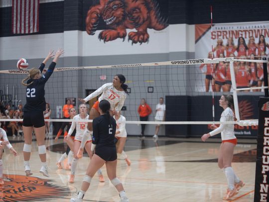 Lady Porcupines sweep Lake Worth, stun Decatur