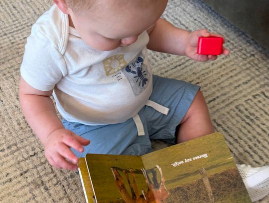 Lions Club keeps Dolly books going