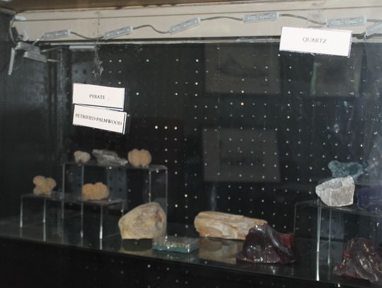 Museum seeks fossils for collection