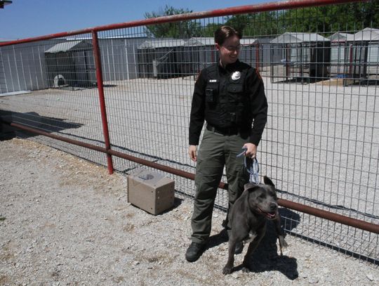 National Animal Control Officer Appreciation Week in Springtown