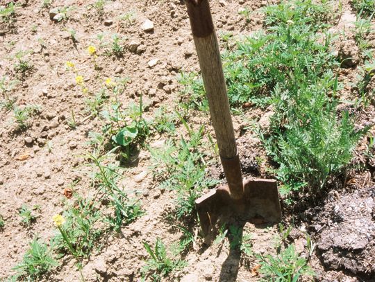 Parker County considers formation of water Public Utility Agency