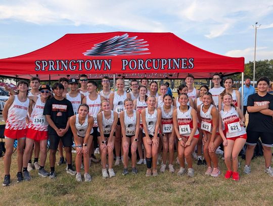 Porcupines glow under Carrollton lights