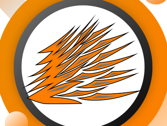 Programs keep shining