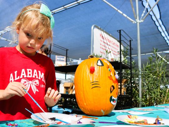 Pumpkins, alpacas, more draw crowd for Pumpkin Palooza