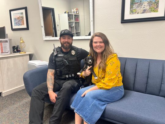 ‘Puppy Magic’ helps local shelter dogs find homes