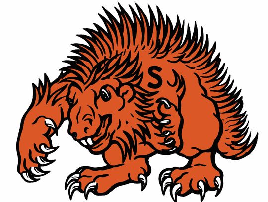 SISD receives perfect 100 on financial integrity rating