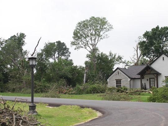 Springtown announces brush, debris pickup options; overnight shelter remains open