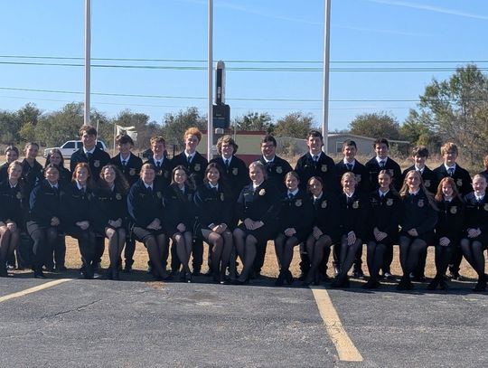 Springtown FFA advances multiple teams to area contest
