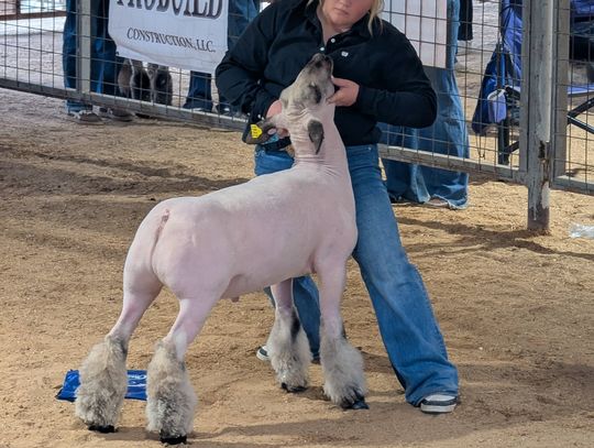 Springtown FFA caps busy season with strong showings