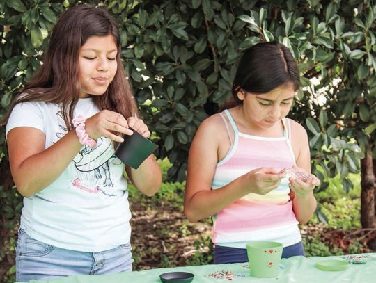 Springtown library hosts gardening activity