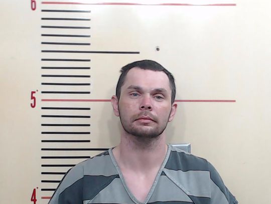 Springtown man sentenced to 20 years