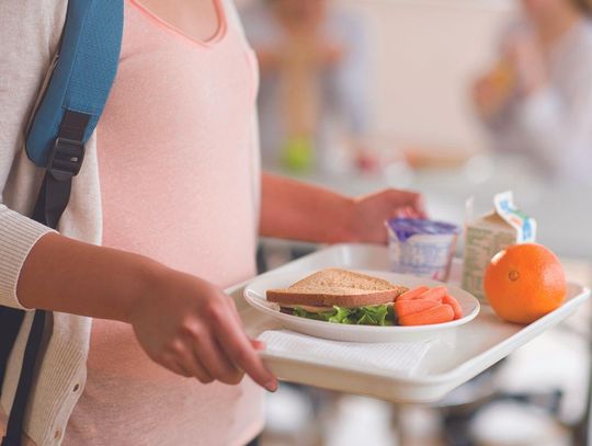 Students may qualify for free, reduced school meals
