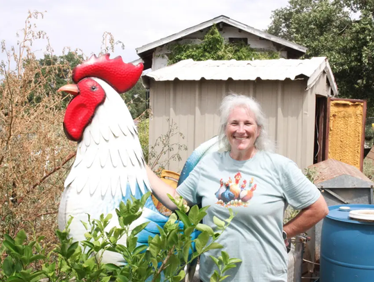 ‘Suburban princess’ becomes self-taught farmer