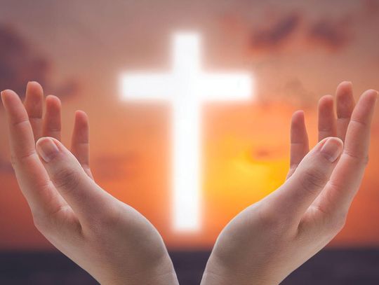 The year of no Christmas card