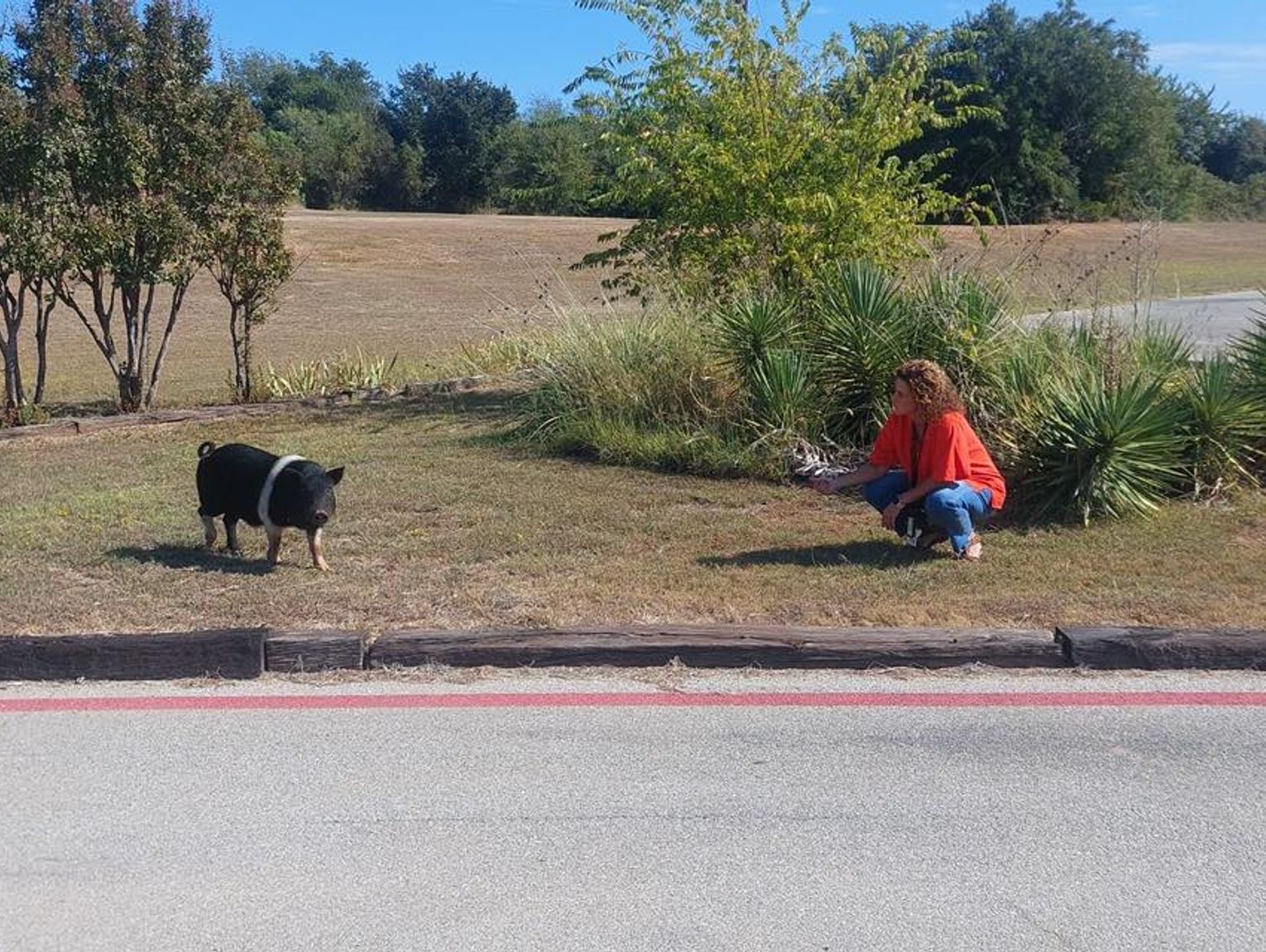 May-ham occurs at Springtown Intermediate