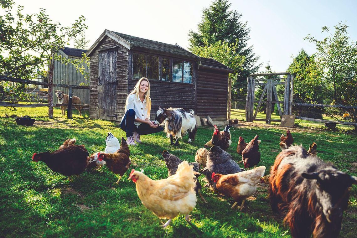 Ag program offers grants to help farmers, ranchers