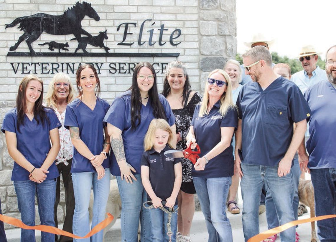 Elite Equine & Small Animal Clinic