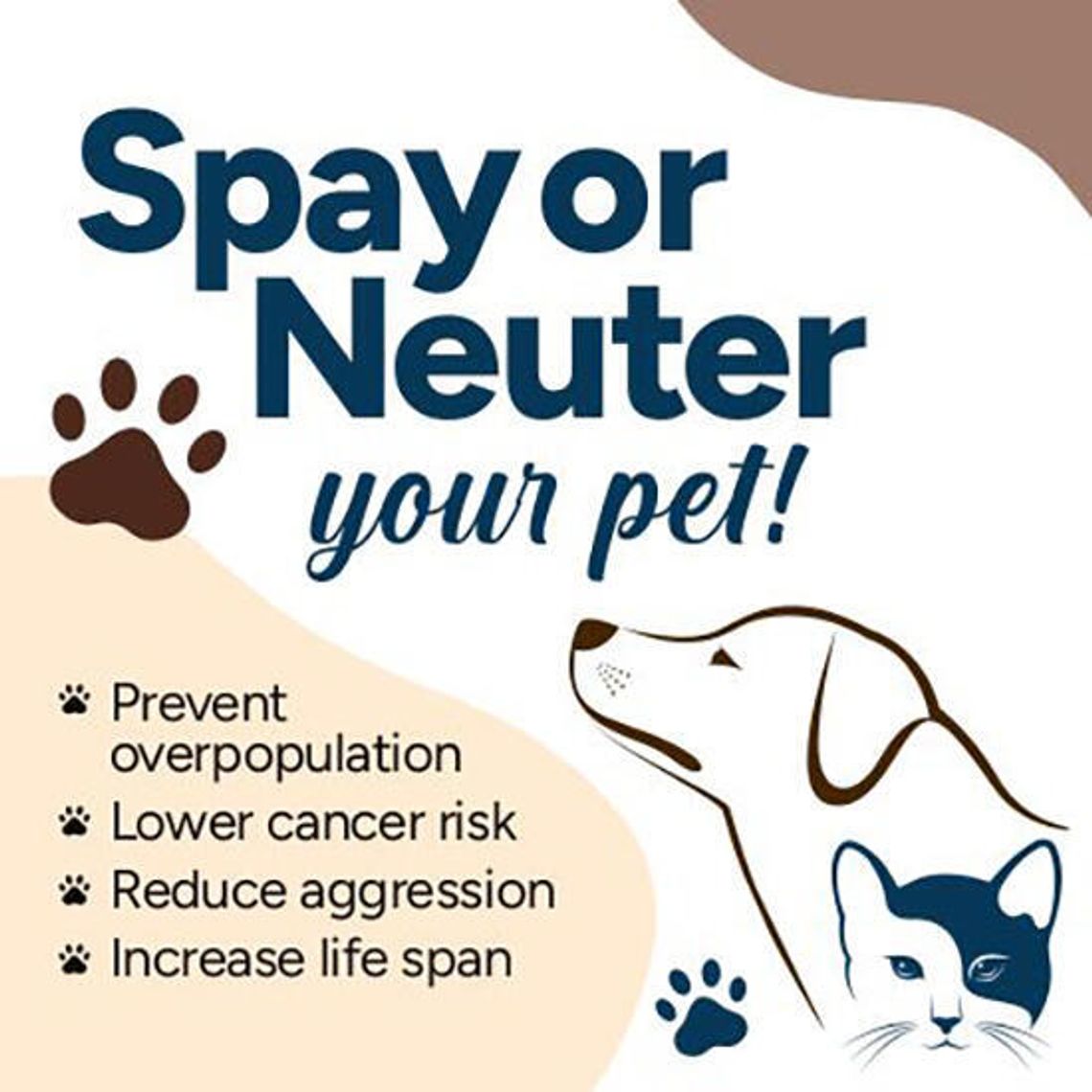 Fixing it for the future