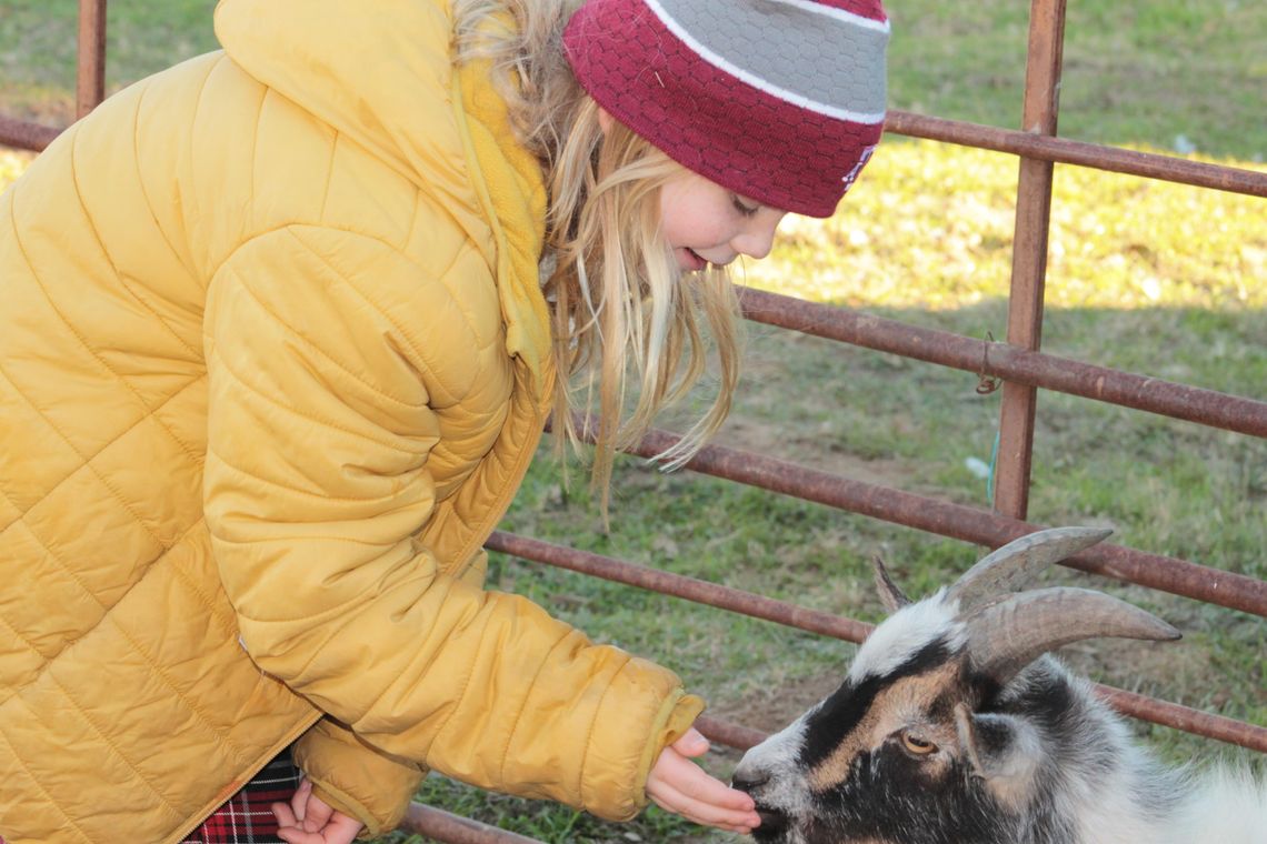 Joyful Ranch Counseling hosts Christmas fundraiser