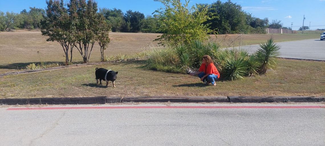 May-ham occurs at Springtown Intermediate