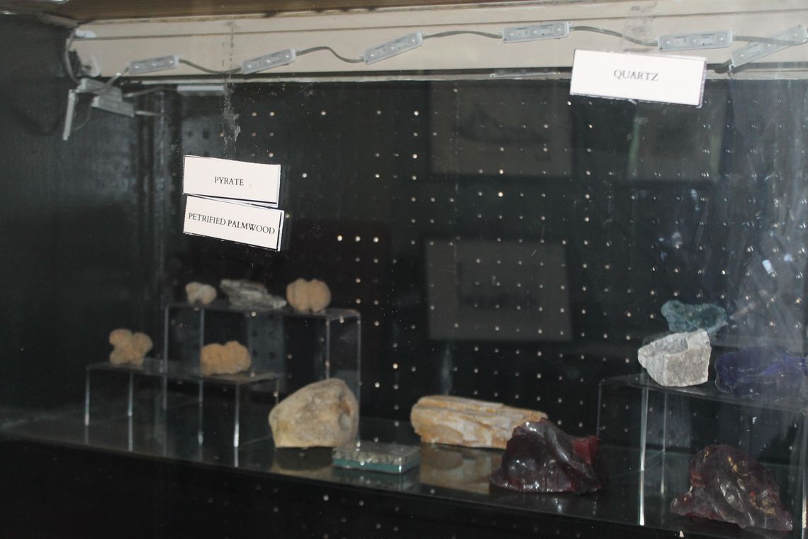 Museum seeks fossils for collection Museum seeks fossils for collection