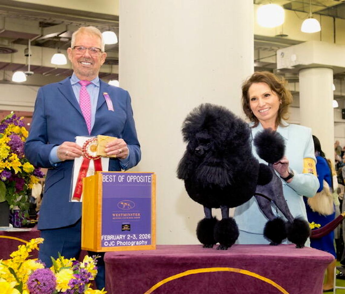 Mustang Sally rides away with win at Westminster