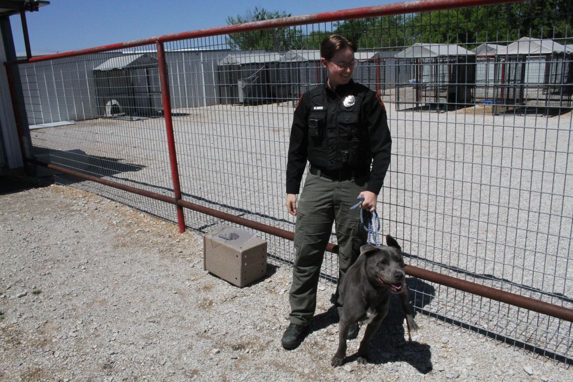 National Animal Control Officer Appreciation Week in Springtown National Animal Control Officer Appreciation Week in Springtown