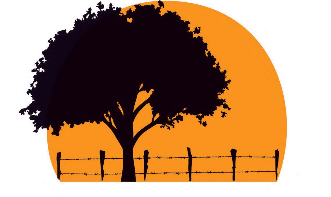 NEWS DIGEST NEWS DIGEST