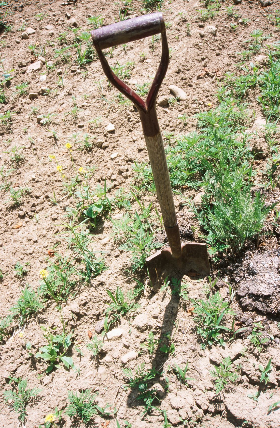 Parker County considers formation of water Public Utility Agency