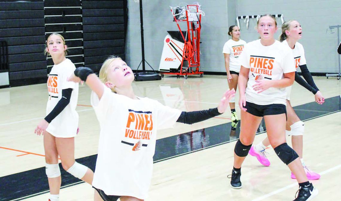 Porcupine Volleyball Camp