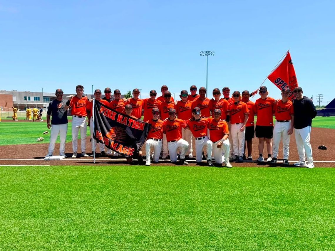 Porcupines earn area title Porcupines earn area title